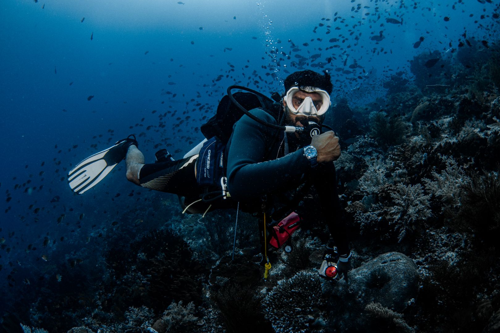 Seven Days in Komodo Island with Shaw Manta